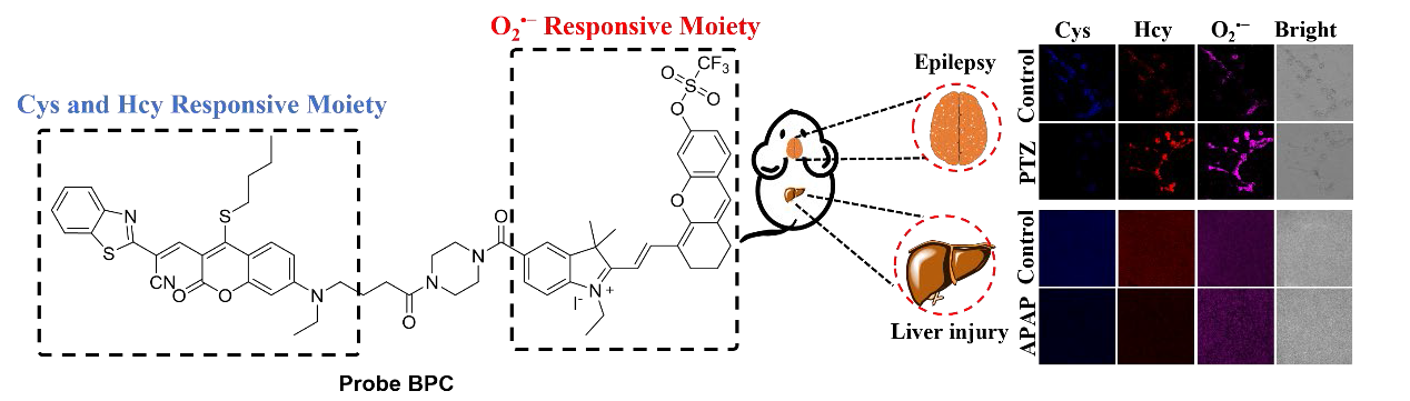 2ACC8